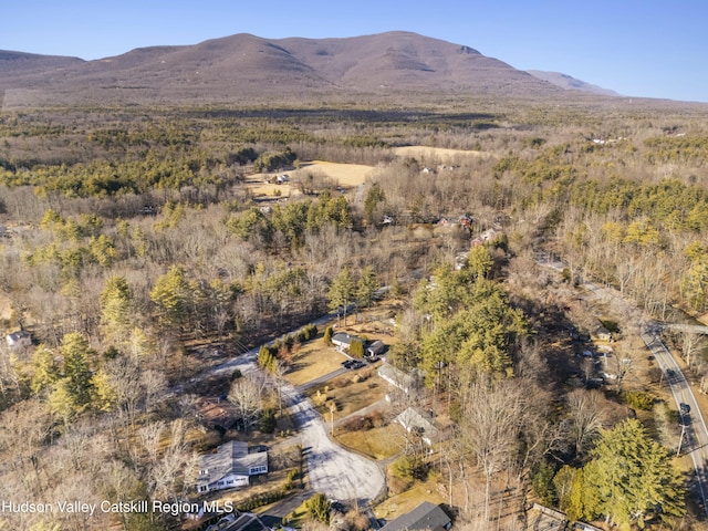 mountain view with a wooded view