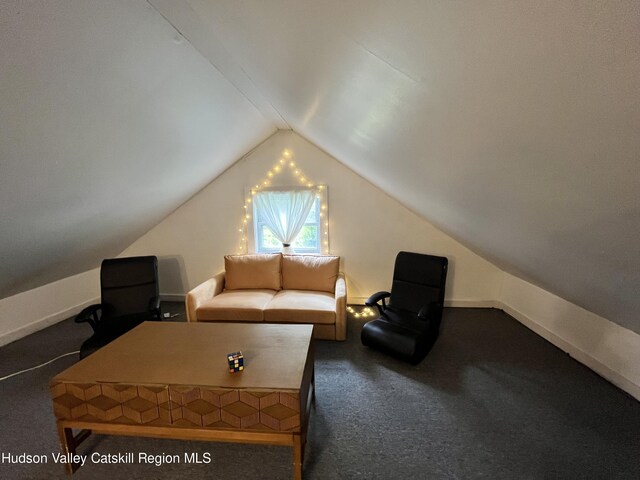 3271 Rte 212, Bearsville, NY 12409 - bonus room with carpet and vaulted ceiling