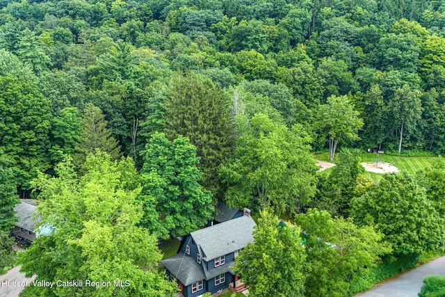 16 Ava Maria Dr, Phoenicia, NY 12464 - photo 63