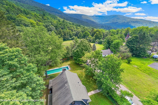 16 Ava Maria Dr, Phoenicia, NY 12464 - photo 5