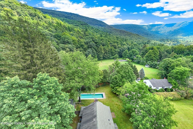 16 Ava Maria Dr, Phoenicia, NY 12464 - photo 53