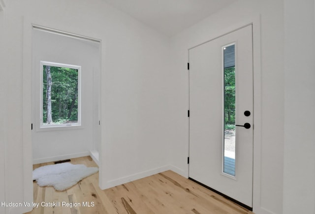 377 Pennsylvania Ave, Palenville, NY 12463 - entrance foyer with light wood-style floors and baseboards