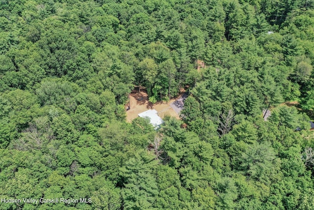 377 Pennsylvania Ave, Palenville, NY 12463 - view of property location with a forest