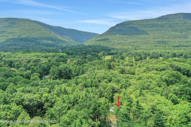 377 Pennsylvania Ave, Palenville, NY 12463 - view of mountain backdrop with a forest