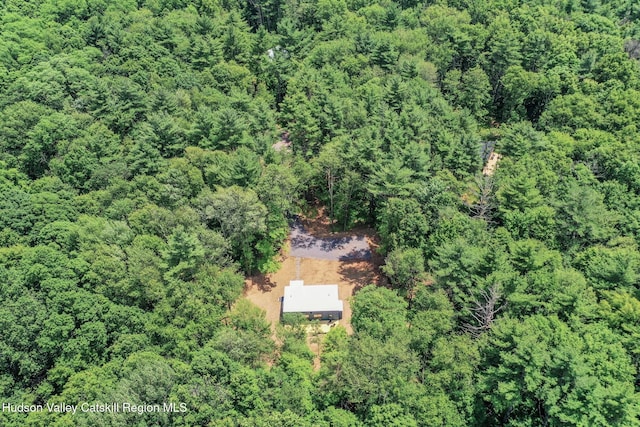 377 Pennsylvania Ave, Palenville, NY 12463 - aerial view of property's location with a forest