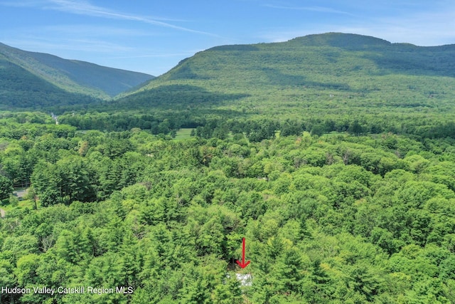377 Pennsylvania Ave, Palenville, NY 12463 - view of mountain background featuring a forest