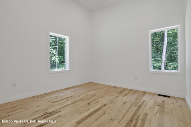377 Pennsylvania Ave, Palenville, NY 12463 - empty room with baseboards and wood finished floors