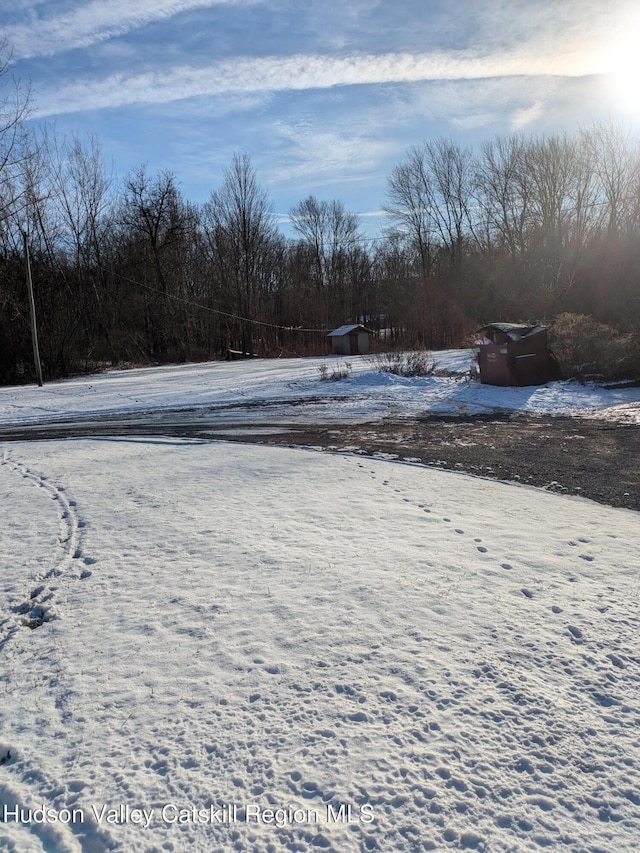 view of snowy yard