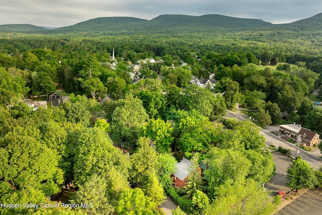 8 Pine Grove St, Woodstock, NY 12498 - photo 41