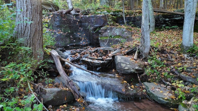 19 Twin Maples Ln, Windham, NY 12496 - view of nature