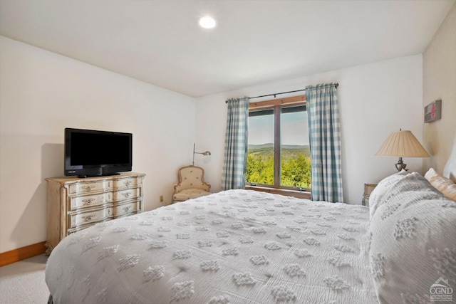 19 Twin Maples Ln, Windham, NY 12496 - bedroom with baseboards and recessed lighting