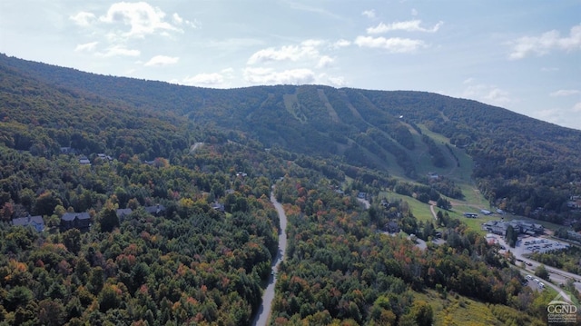 19 Twin Maples Ln, Windham, NY 12496 - view of mountain background with a heavily wooded area