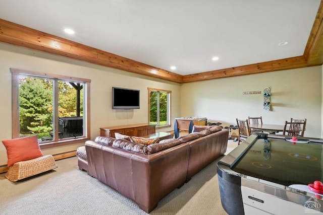 19 Twin Maples Ln, Windham, NY 12496 - living area with carpet flooring and recessed lighting