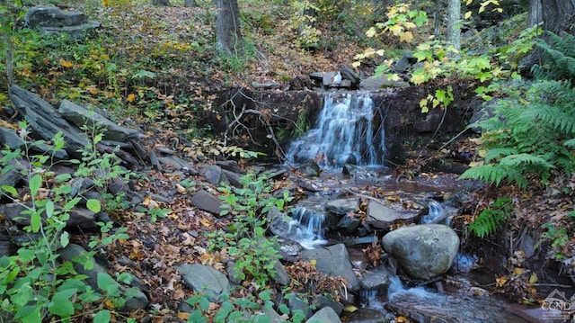 19 Twin Maples Ln, Windham, NY 12496 - view of undeveloped land