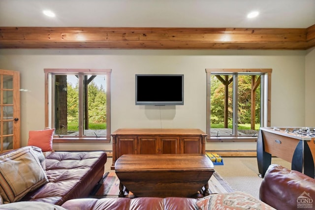 19 Twin Maples Ln, Windham, NY 12496 - living area featuring recessed lighting