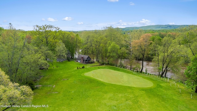 172 Stone Dock Rd, High Falls, NY 12440 - aerial view of a heavily wooded area and a golf course