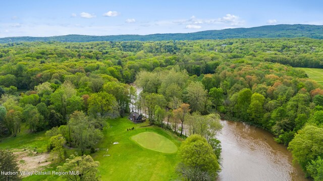 172 Stone Dock Rd, High Falls, NY 12440 - bird's eye view of a forest