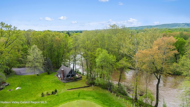 172 Stone Dock Rd, High Falls, NY 12440 - aerial view of property and surrounding area with a heavily wooded area
