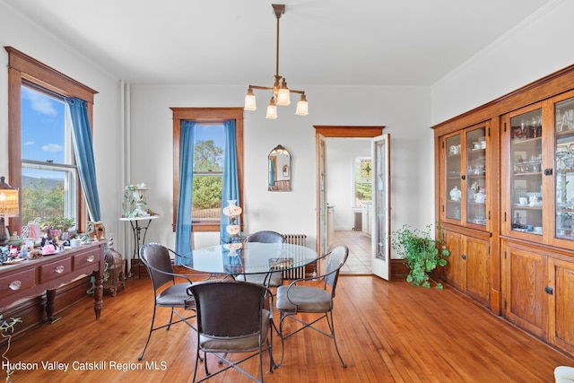 dining room with light hardwood / wood-style floors, a healthy amount of sunlight, and a chandelier