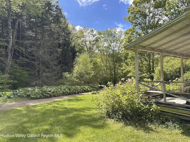 5429 Dry Brook Rd, Hardenburgh, NY 12406 - view of grassy yard
