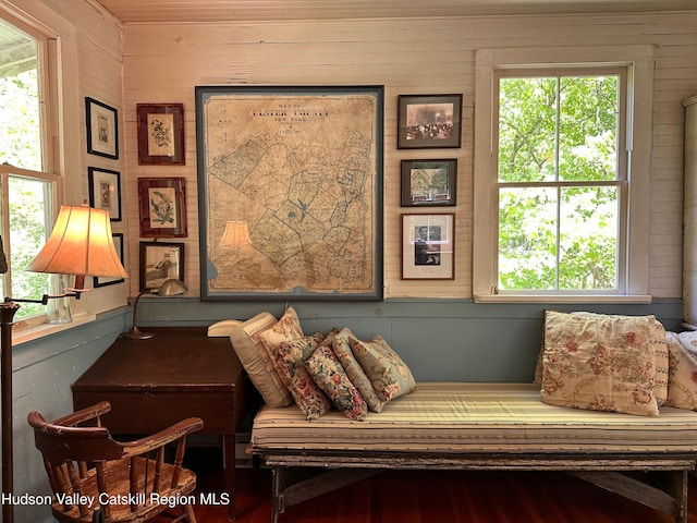 5429 Dry Brook Rd, Hardenburgh, NY 12406 - sitting room with plenty of natural light and wooden walls