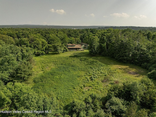 1877 Berme Rd, Kerhonkson, NY 12446 - photo 4