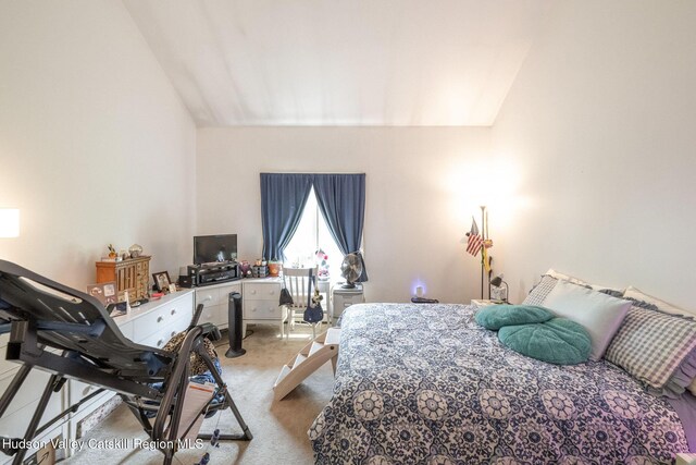 1877 Berme Rd, Kerhonkson, NY 12446 - photo 42