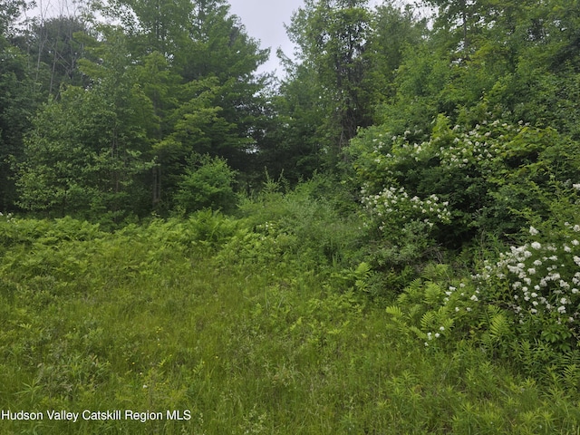 615 Allen Teator Rd, Durham, NY 12469