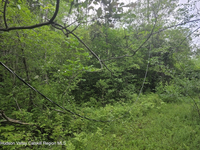 615 Allen Teator Rd, Durham, NY 12469