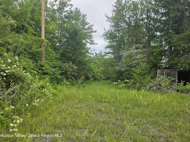 615 Allen Teator Rd, Durham, NY 12469
