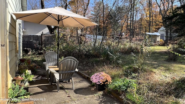 view of yard with a patio area