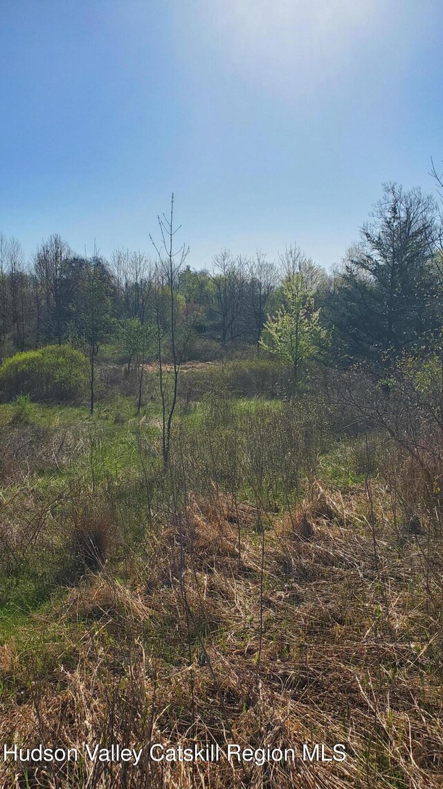 TBD Boice Mill Rd, Kerhonkson, NY 12446