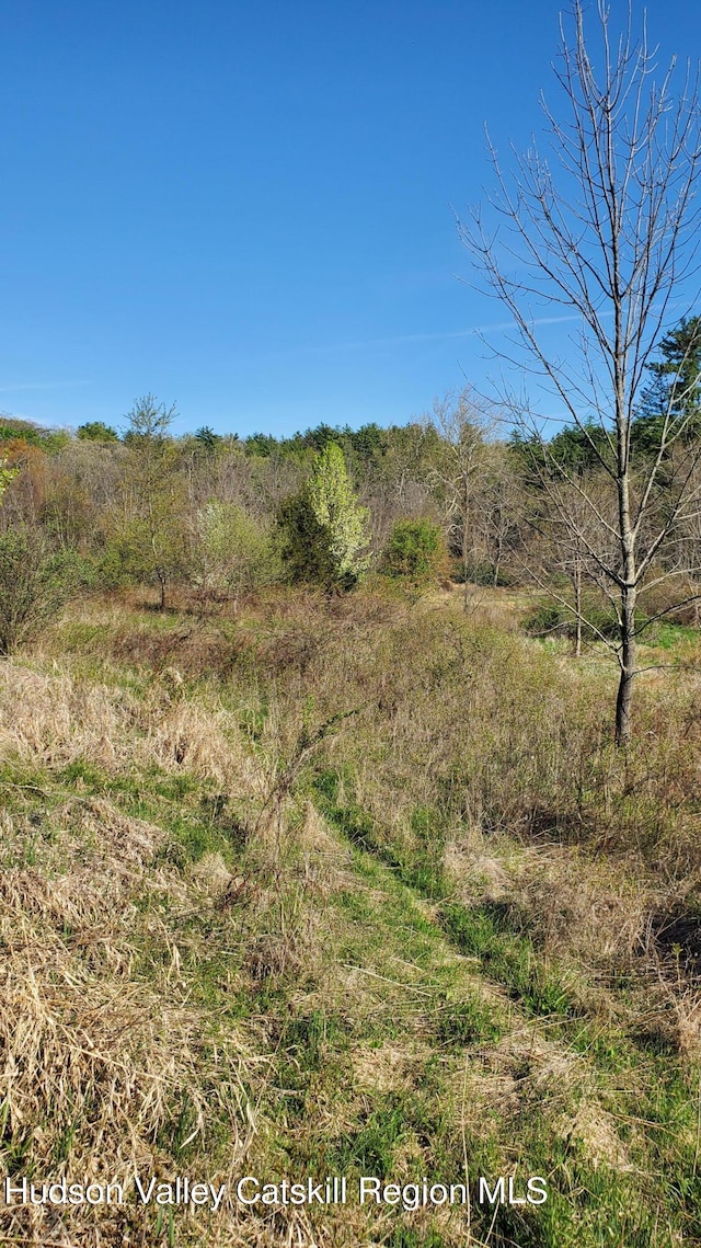 TBD Boice Mill Rd, Kerhonkson, NY 12446