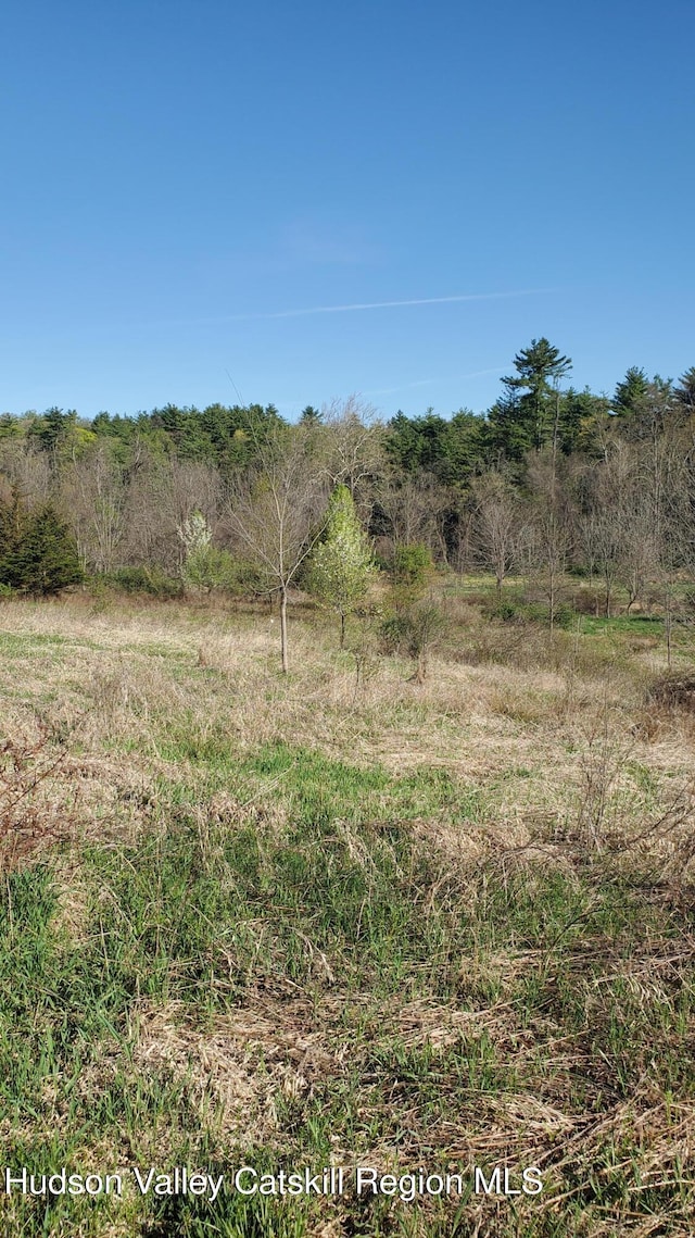 TBD Boice Mill Rd, Kerhonkson, NY 12446