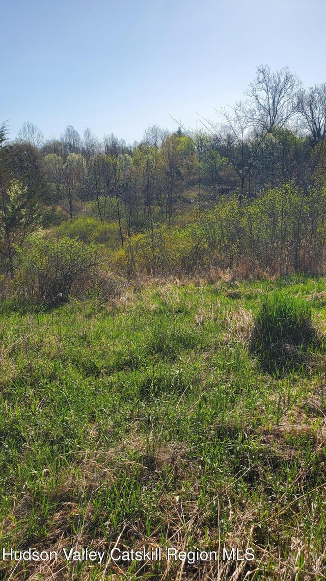 TBD Boice Mill Rd, Kerhonkson, NY 12446