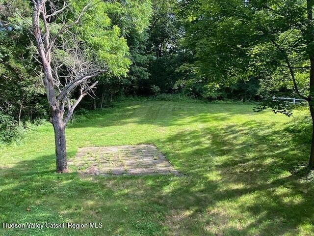 153 Upper Grand St, Highland, NY 12528 - photo 23