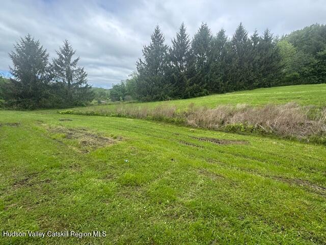 2907 County Route 9, East Chatham, NY 12060 - photo 39