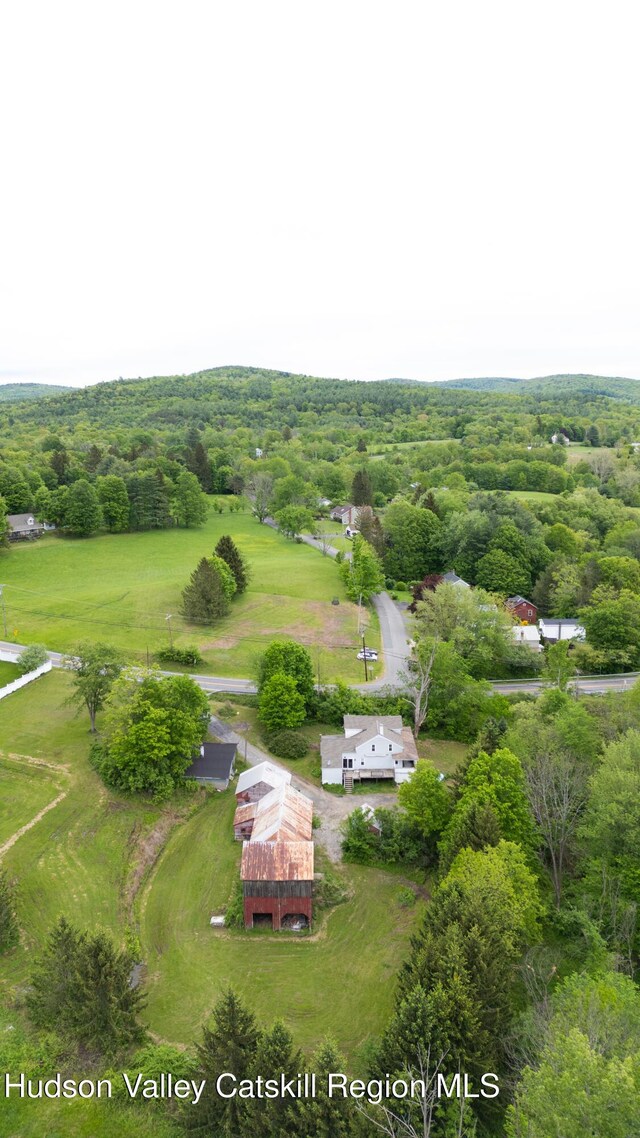 2907 County Route 9, East Chatham, NY 12060 - photo 38