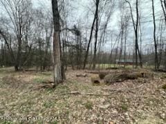 Listing photo 2 for TBD Smith Ln, Grahamsville NY 12740