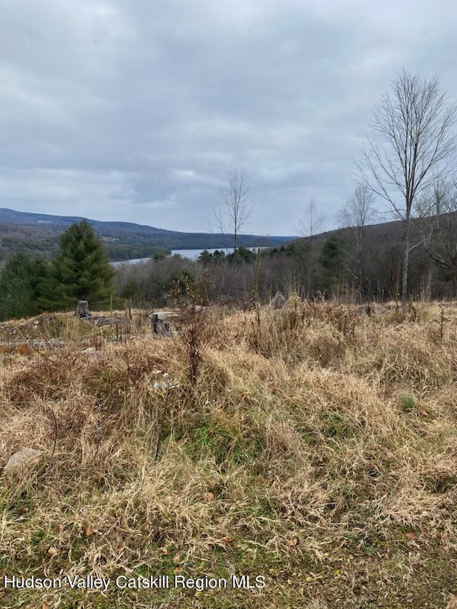 TBD Smith Ln, Grahamsville NY, 12740 land for sale