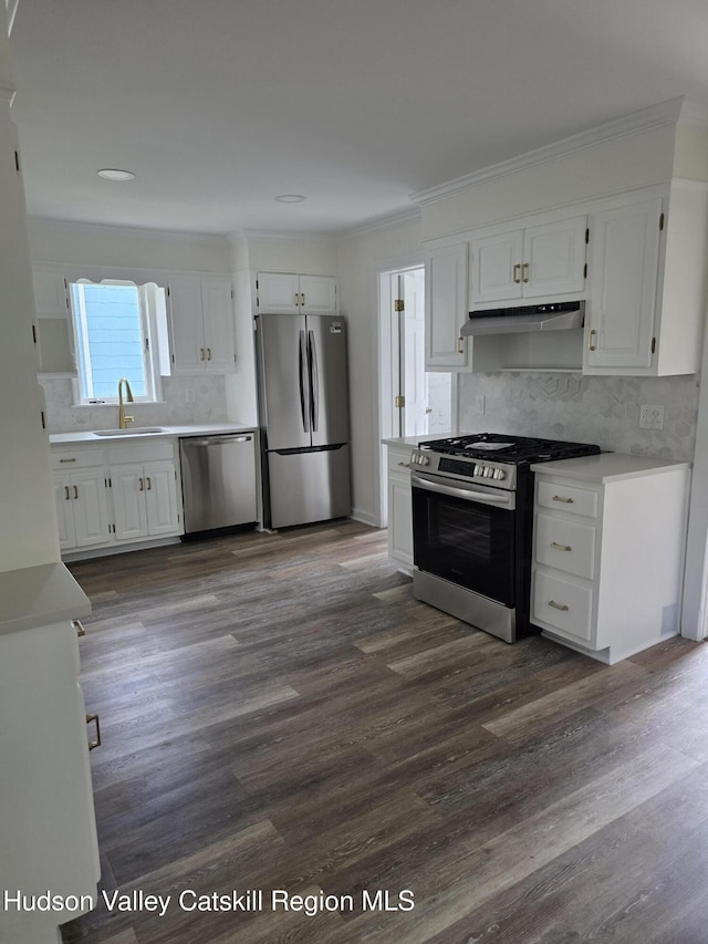 kitchen with stainless steel appliances, a sink, white cabinets, under cabinet range hood, and tasteful backsplash