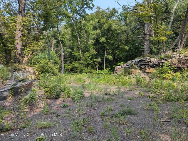 TBD Clearhorn Rd, Kingston, NY 12401 - photo 3