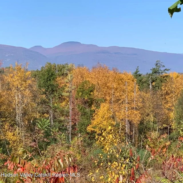 TBD Clearhorn Rd, Kingston, NY 12401 - photo 1