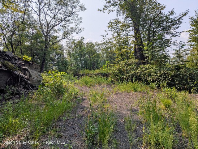 TBD Clearhorn Rd, Kingston, NY 12401 - photo 4
