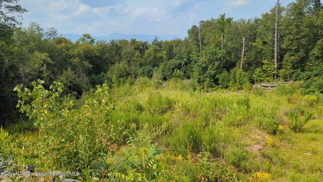 TBD Clearhorn Rd, Kingston, NY 12401 - photo 5