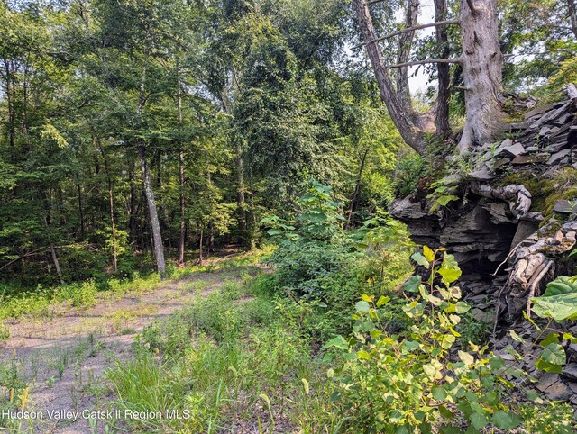 TBD Clearhorn Rd, Kingston, NY 12401 - photo 2