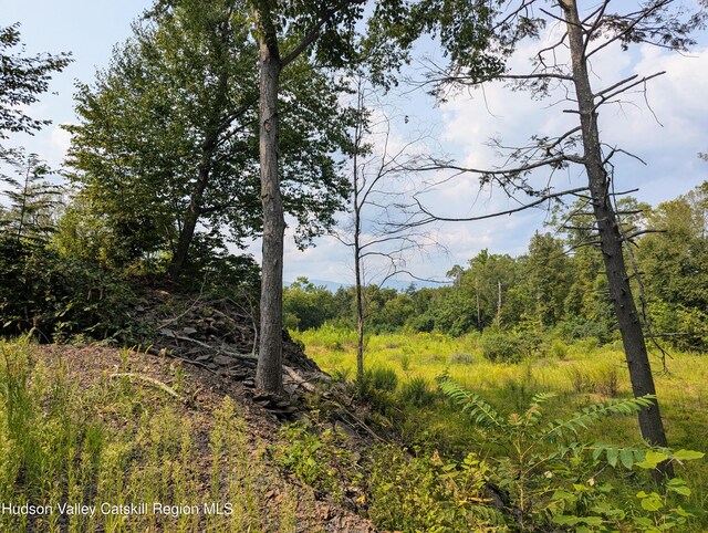 TBD Clearhorn Rd, Kingston, NY 12401 - photo 6