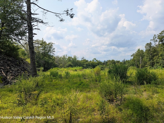 TBD Clearhorn Rd, Kingston, NY 12401 - photo 8