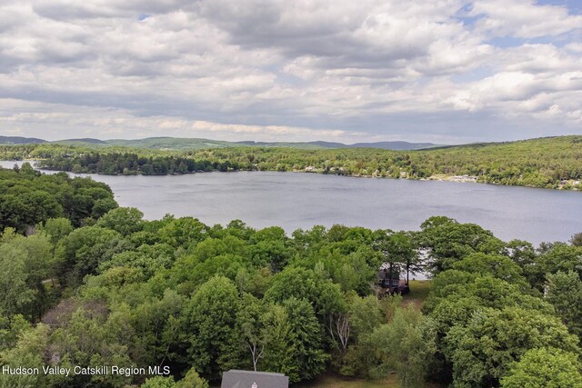 47 Cherokee Dr, Hillsdale, NY 12529 - photo 3