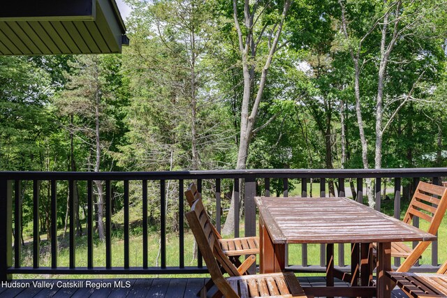 47 Cherokee Dr, Hillsdale, NY 12529 - photo 14